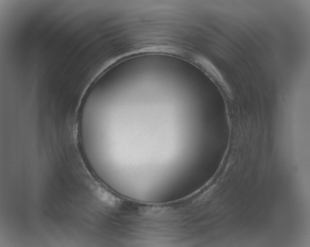 X0000073461284200607281237