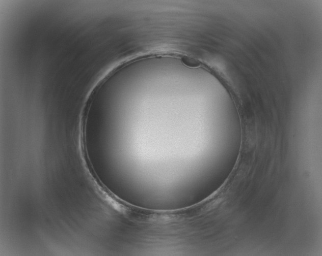 X0000073461286200607281237