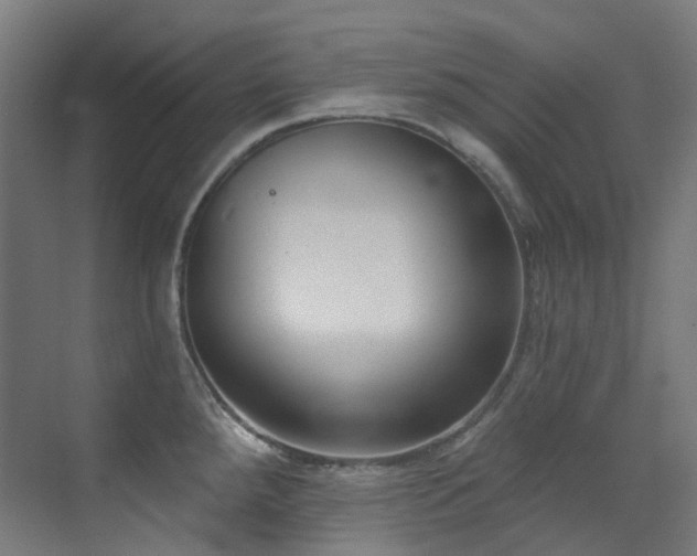 X0000073461288200607281237