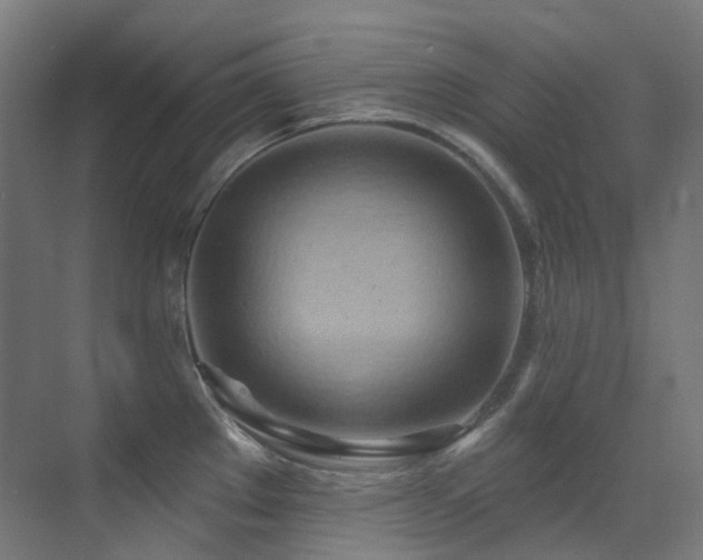 X0000073461289200607281237