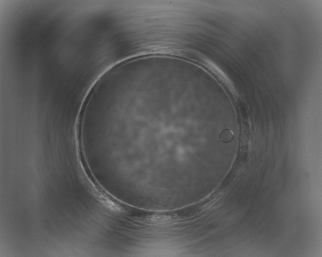 X0000073461291200607281237
