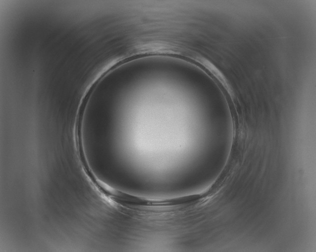 X0000073461293200607281237