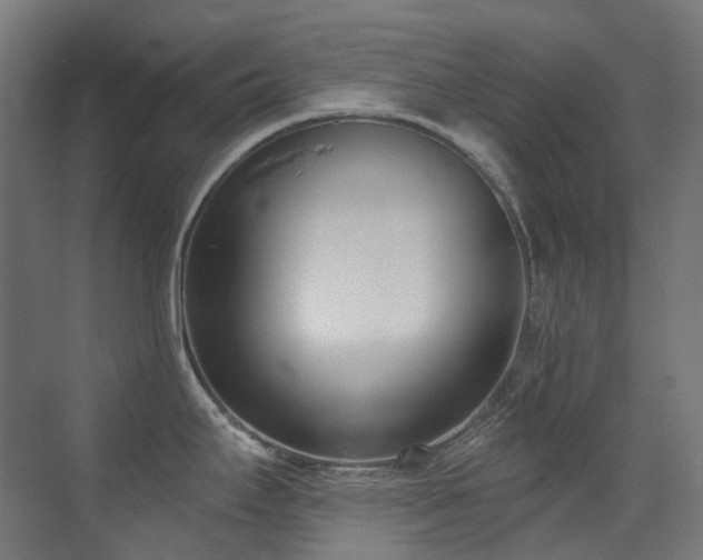 X0000073461295200607281237