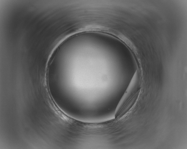 X0000073461296200607281237
