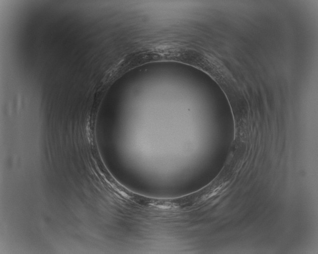 X0000073461298200607281236