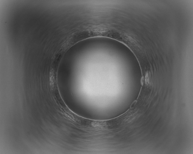 X0000073461299200607281236