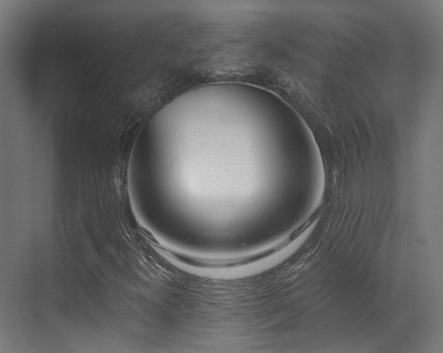 X0000073461300200607281236