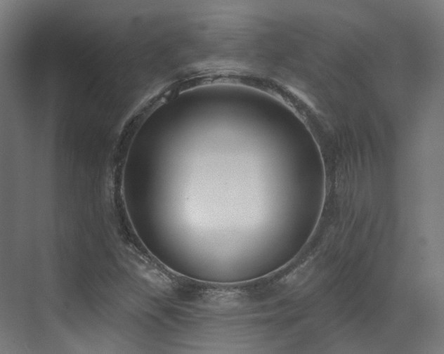 X0000073461309200607281236