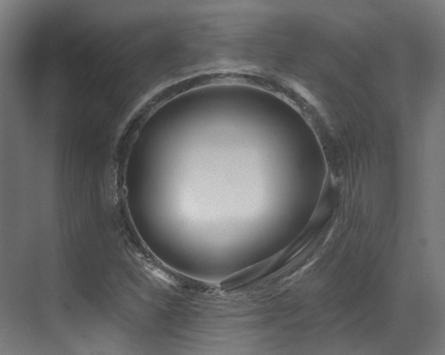 X0000073461310200607281237