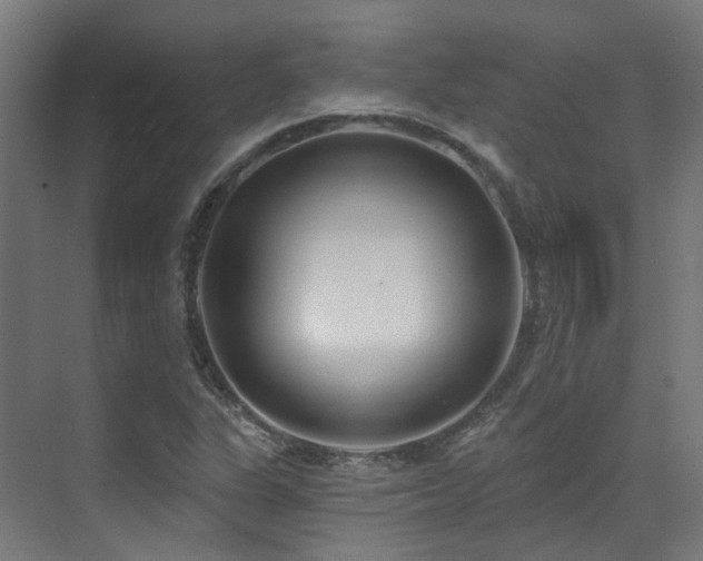 X0000073461311200607281237