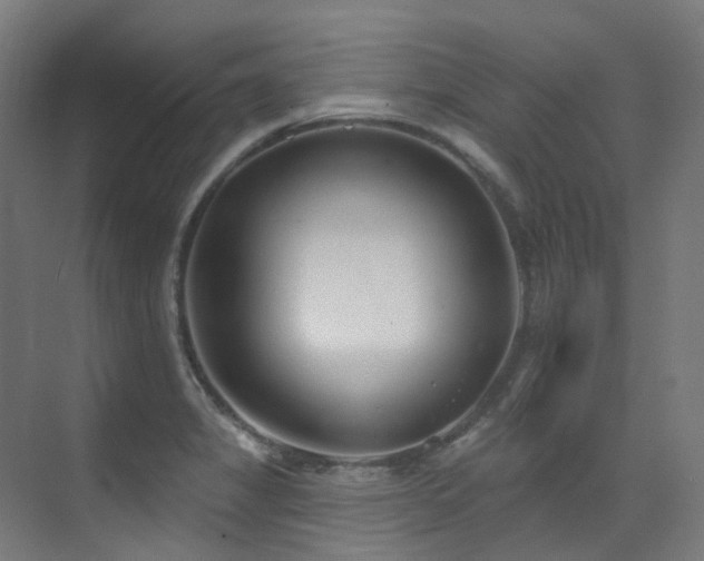 X0000073461325200607281237