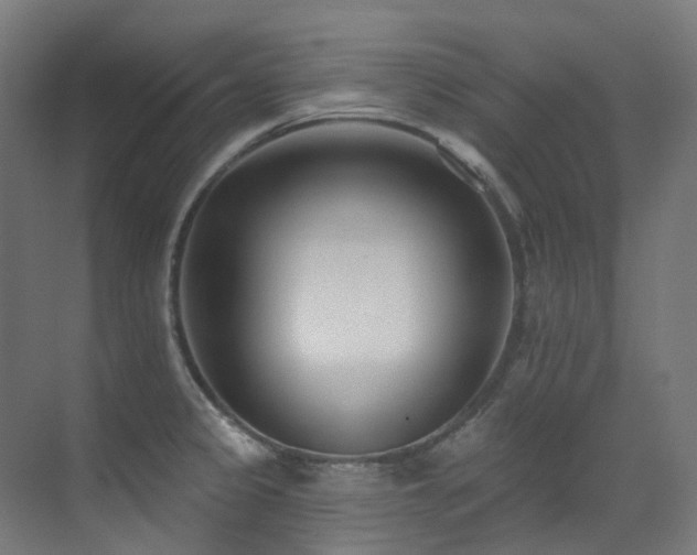 X0000073461333200607281237