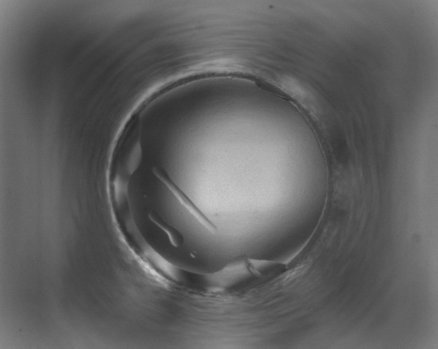 X0000073461334200607281237