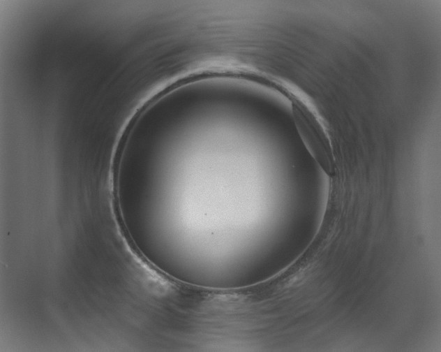 X0000073461335200607281237