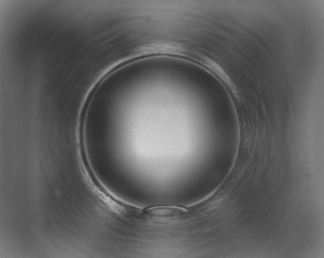 X0000073461339200607281237