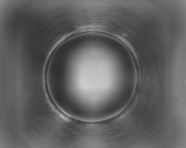 X0000073461341200607281237