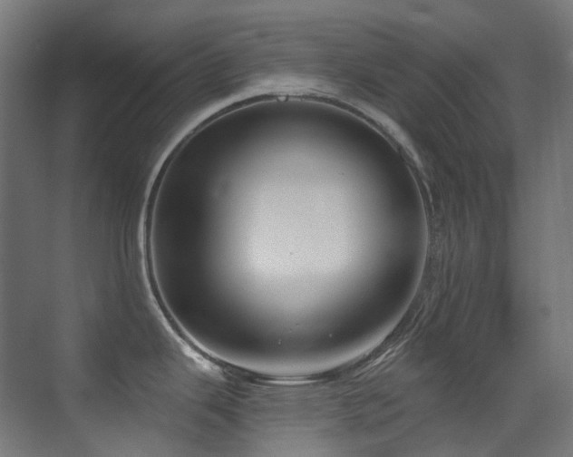 X0000073461343200607281237