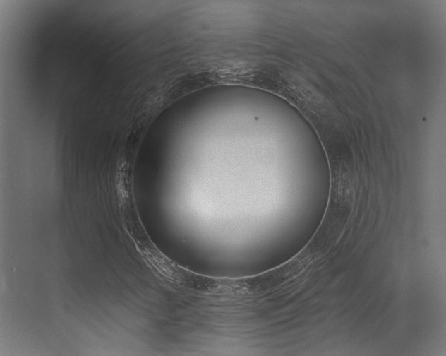 X0000073461346200607281236
