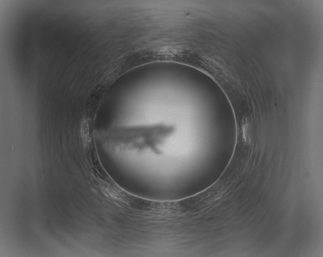 X0000073461347200607281236