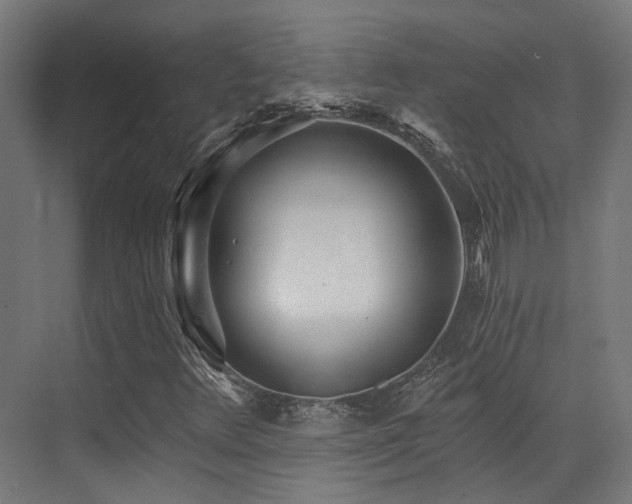 X0000073461348200607281236