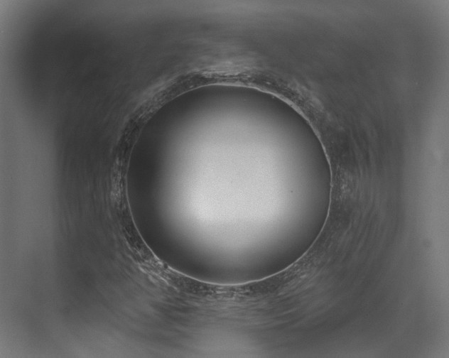 X0000073461350200607281236