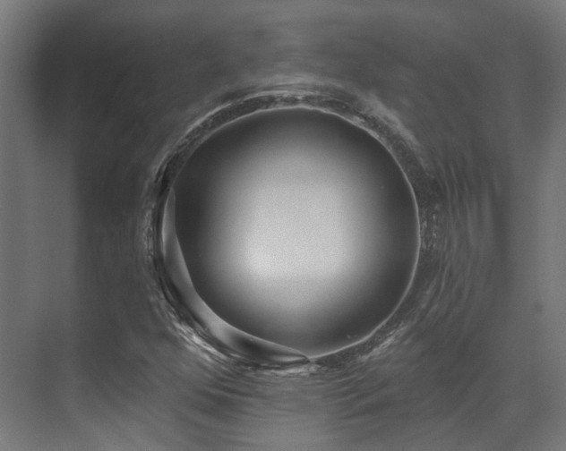 X0000073461352200607281236