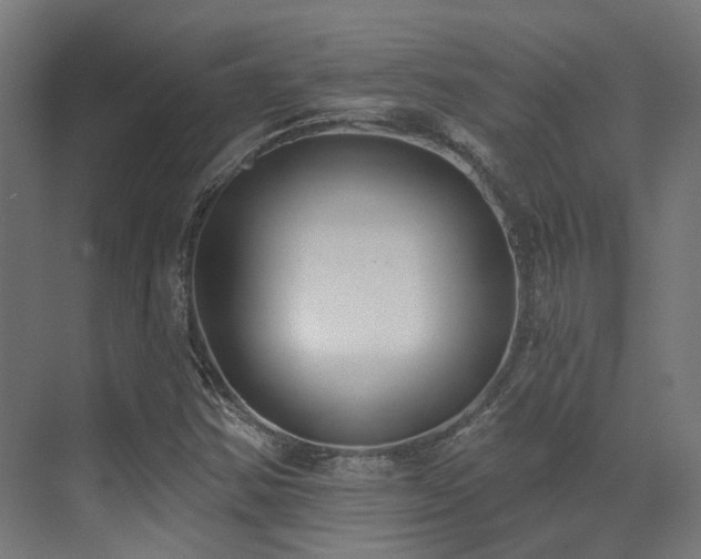 X0000073461354200607281236