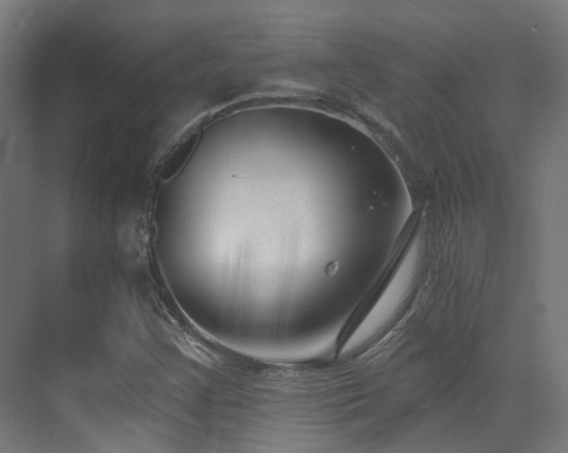 X0000073461355200607281236