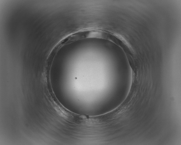 X0000073461356200607281236
