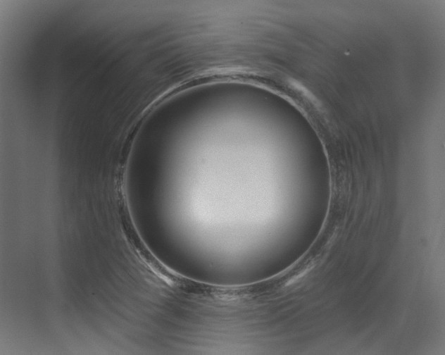 X0000073461361200607281236
