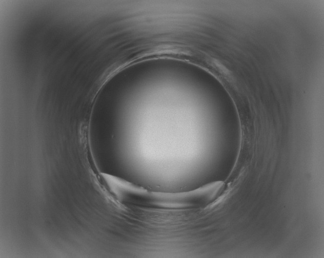 X0000073461369200607281236