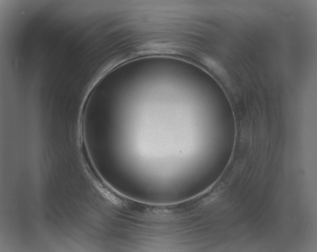 X0000073461370200607281236