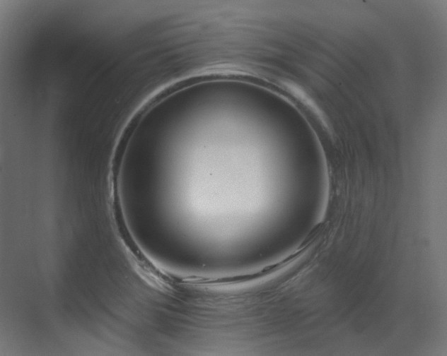 X0000073461372200607281236