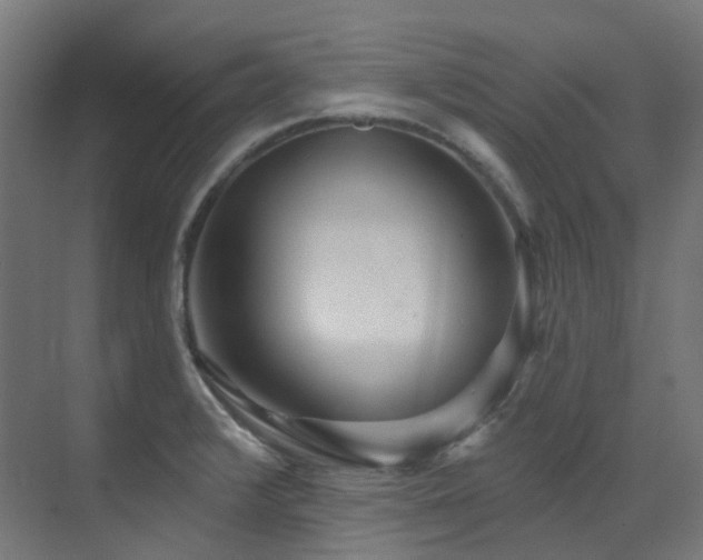 X0000073461376200607281236