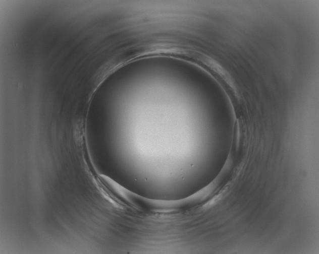 X0000073461377200607281236