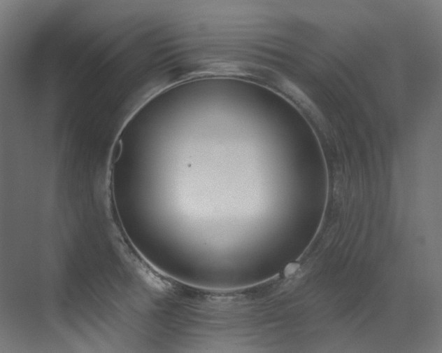 X0000073461378200607281236
