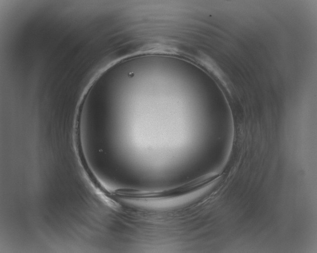 X0000073461379200607281236