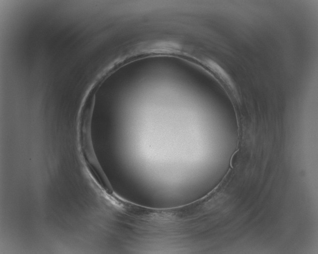 X0000073461384200607281236