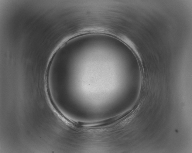 X0000073461389200607281236