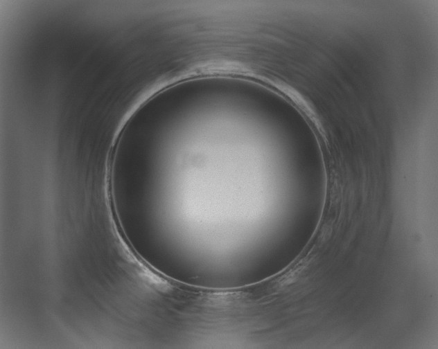 X0000073461390200607281236