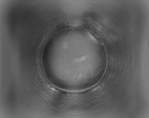 X0000073461393200607281235