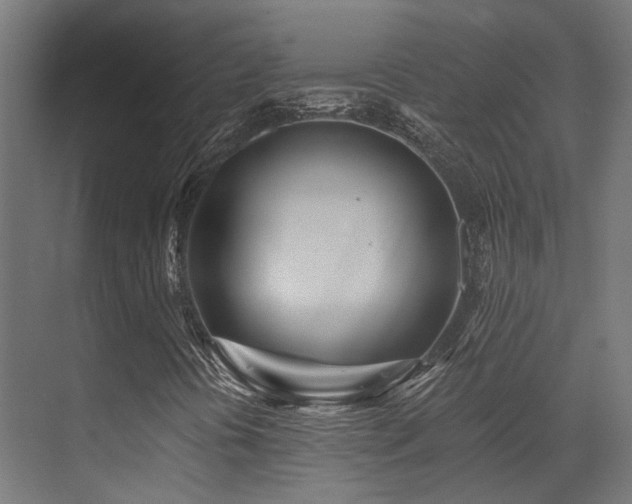 X0000073461394200607281235