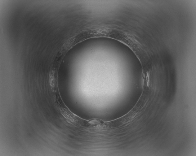 X0000073461395200607281235