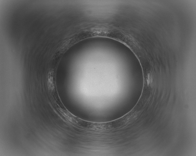X0000073461396200607281235