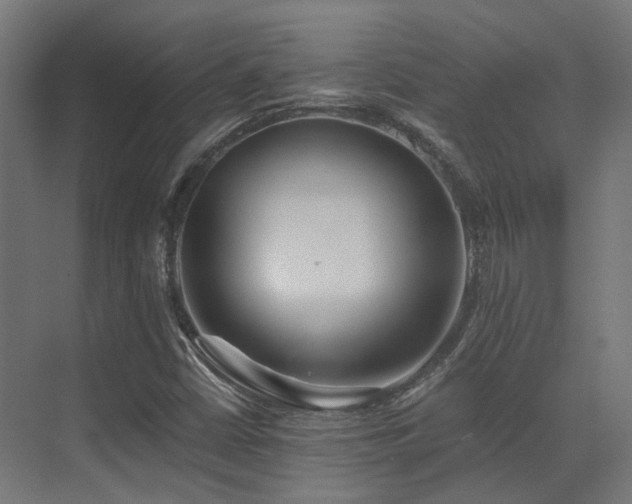 X0000073461402200607281235