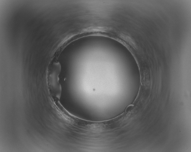 X0000073461404200607281235