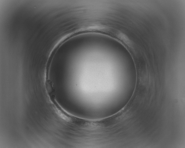 X0000073461420200607281235