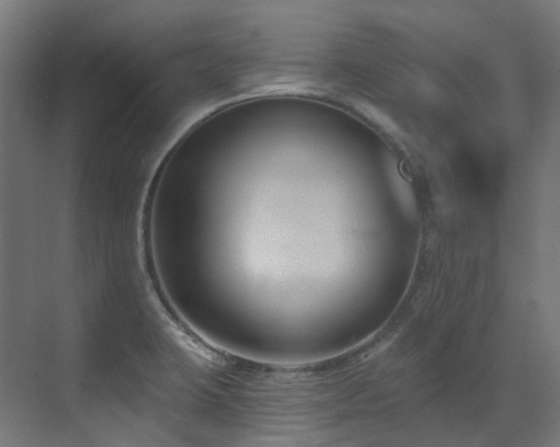X0000073461423200607281235