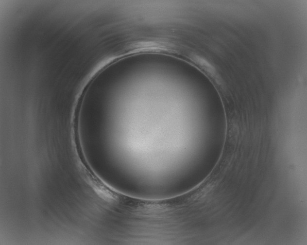 X0000073461427200607281235