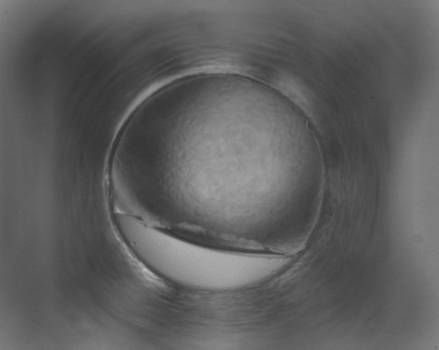 X0000073461428200607281235